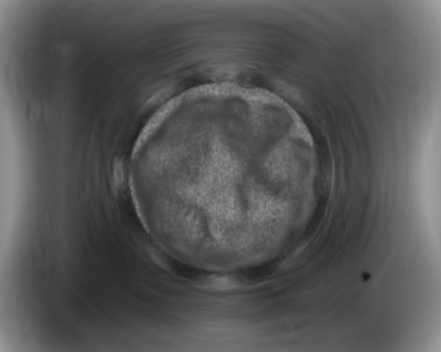 X0000084050335200703092057