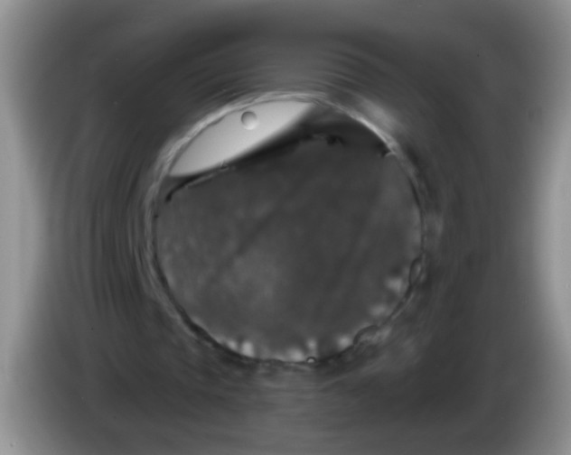 X0000084050337200703092057