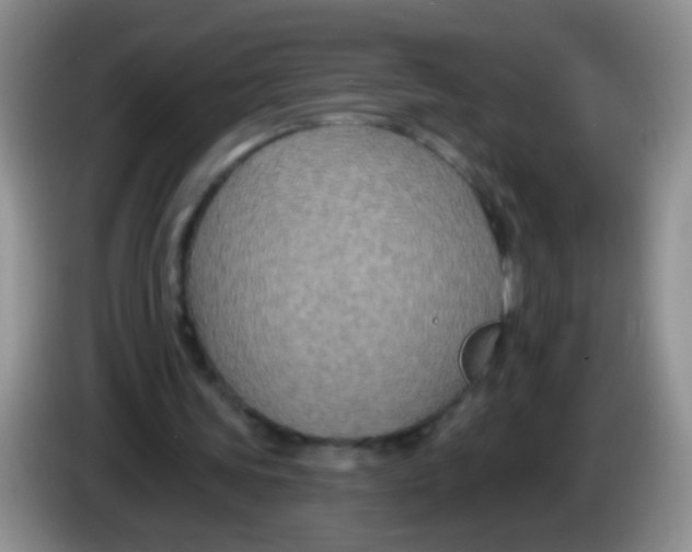 X0000084050339200703092057