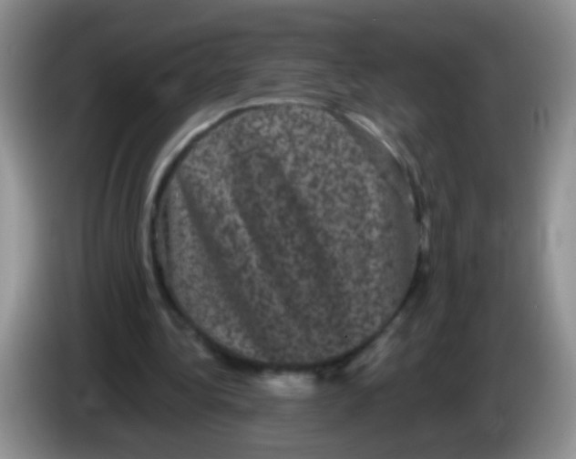 X0000084050340200703092057