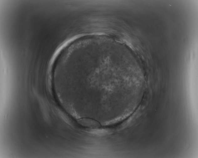 X0000084050342200703092057