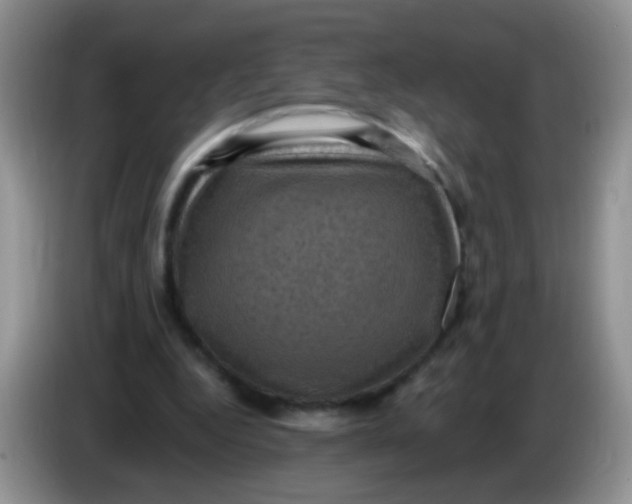 X0000084050344200703092057