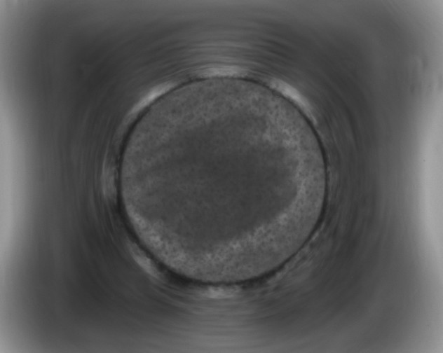 X0000084050345200703092057