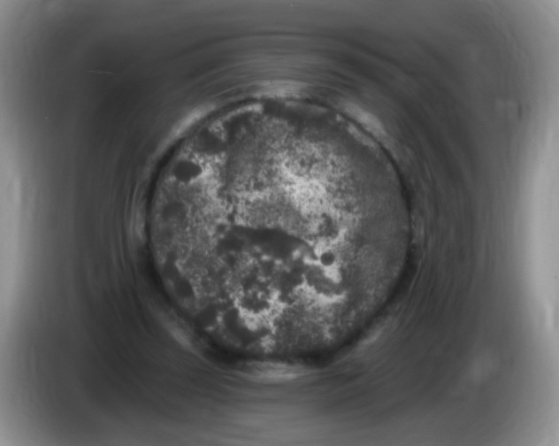 X0000084050347200703092057