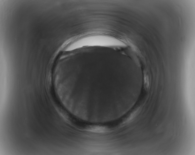 X0000084050348200703092057