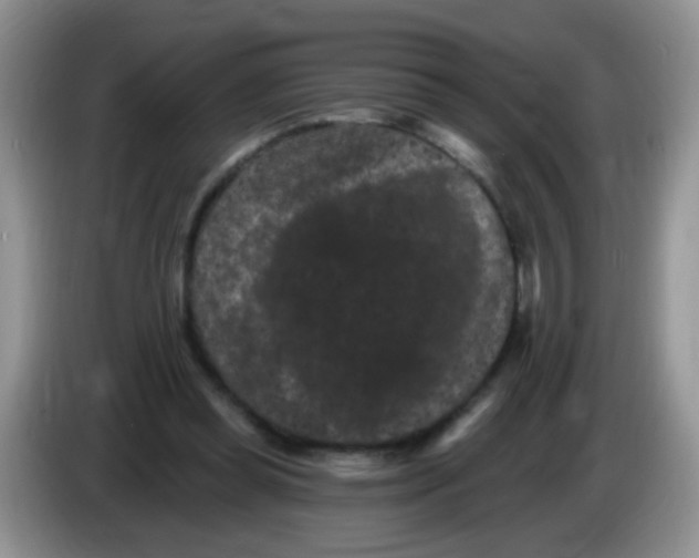 X0000084050349200703092057