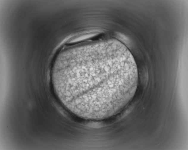 X0000084050350200703092057