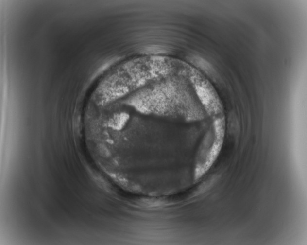 X0000084050351200703092057