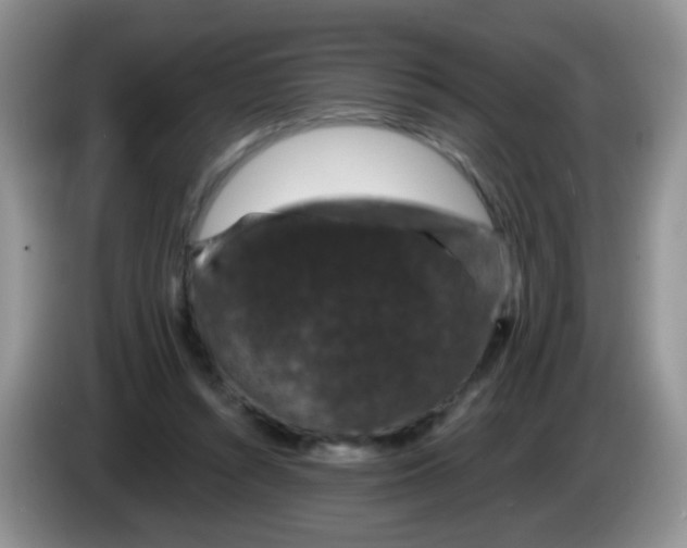 X0000084050352200703092057