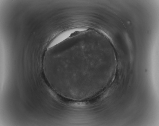 X0000084050353200703092057