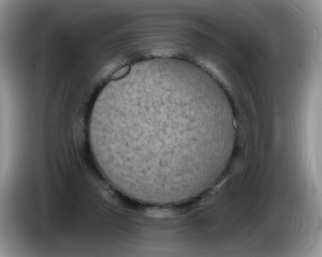 X0000084050354200703092057