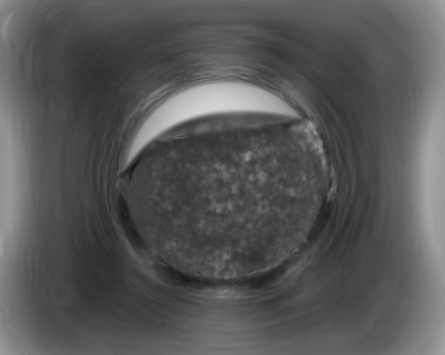 X0000084050356200703092057