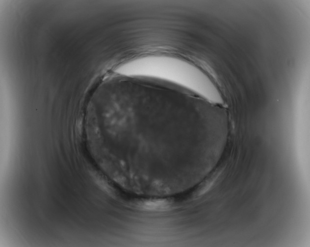 X0000084050357200703092057