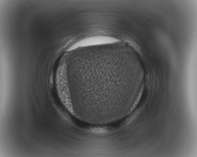 X0000084050358200703092057