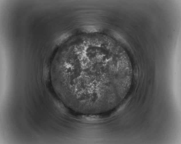 X0000084050359200703092057