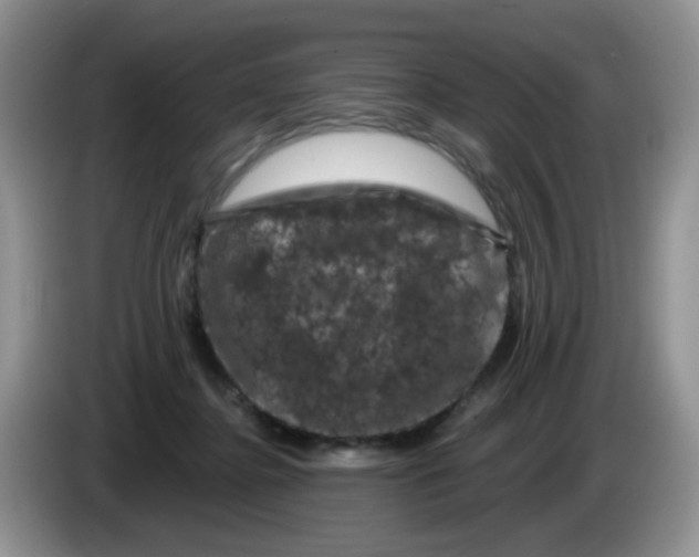 X0000084050364200703092057