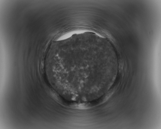 X0000084050365200703092057