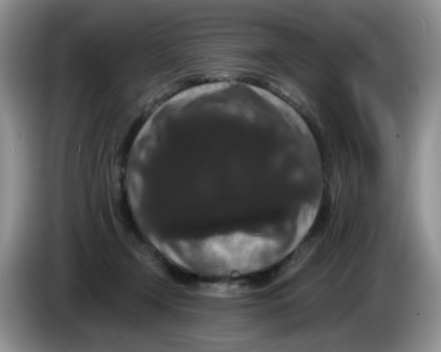 X0000084050366200703092057