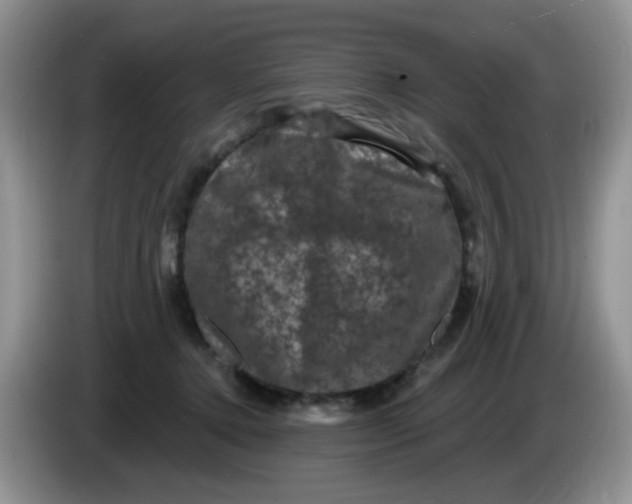 X0000084050368200703092057