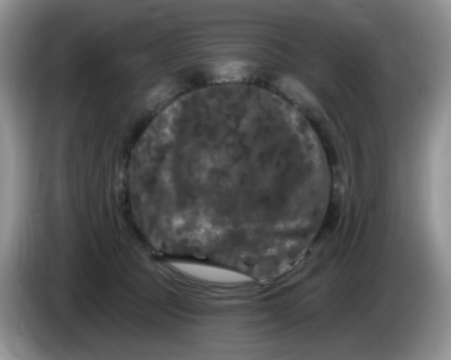 X0000084050369200703092057