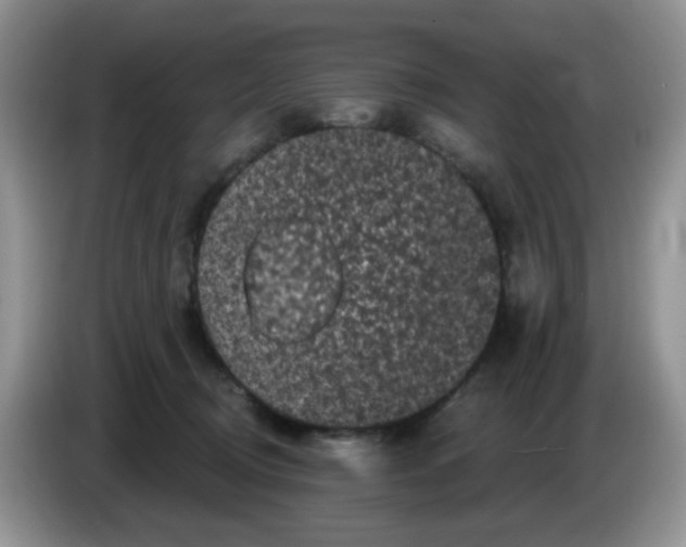 X0000084050370200703092057