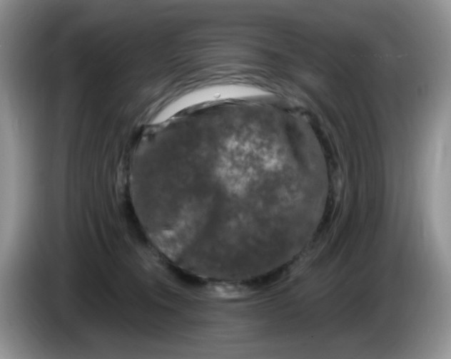 X0000084050372200703092057