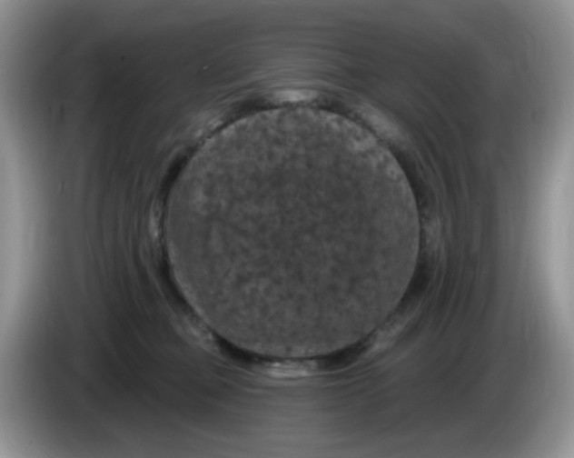 X0000084050373200703092057