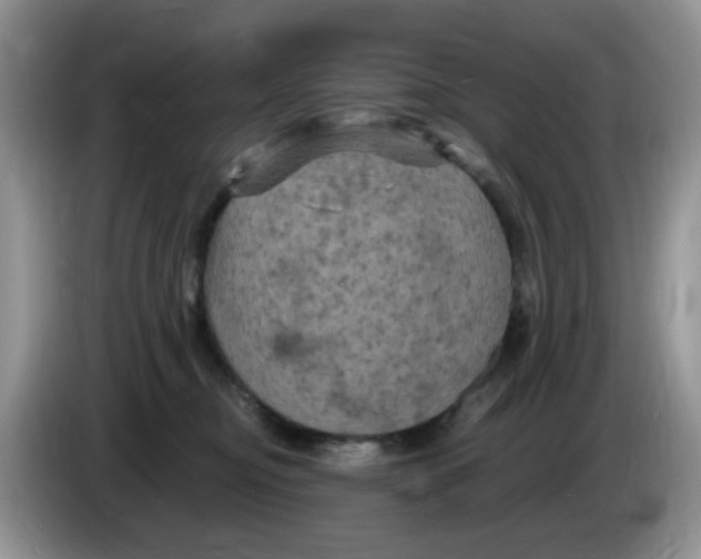 X0000084050374200703092057