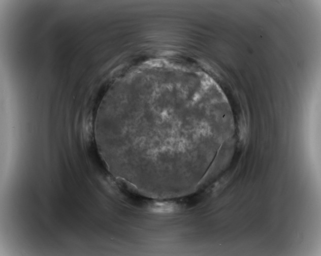 X0000084050376200703092057