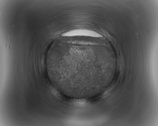 X0000084050377200703092057