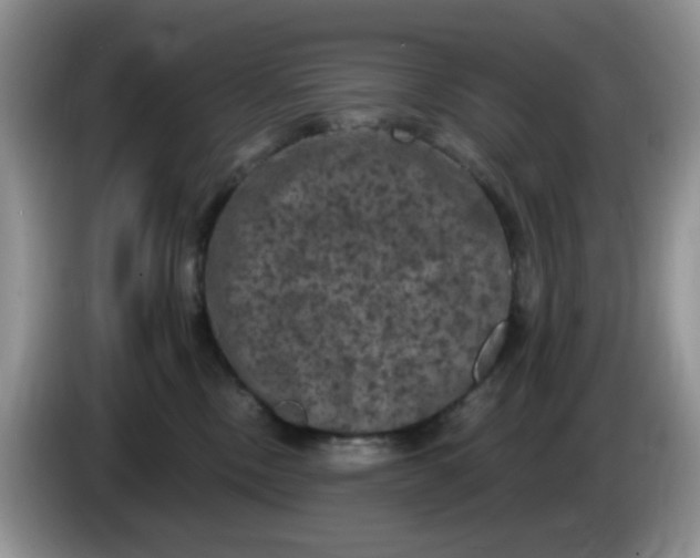 X0000084050378200703092057