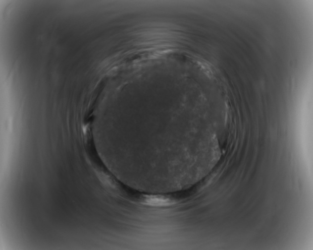 X0000084050380200703092057