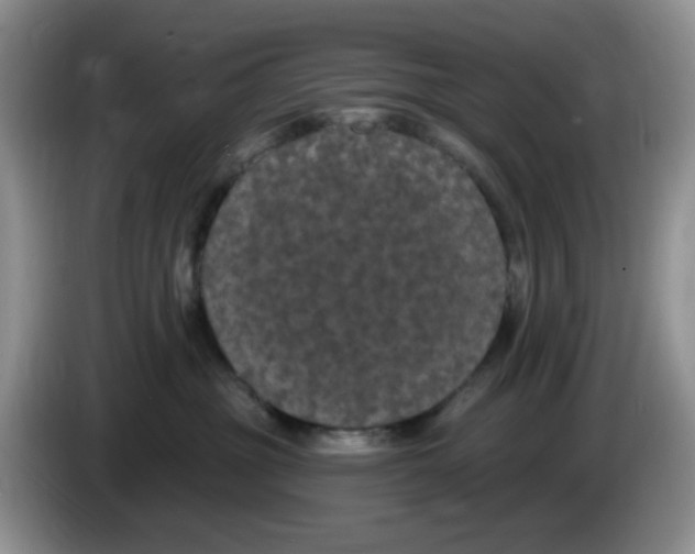 X0000084050381200703092057