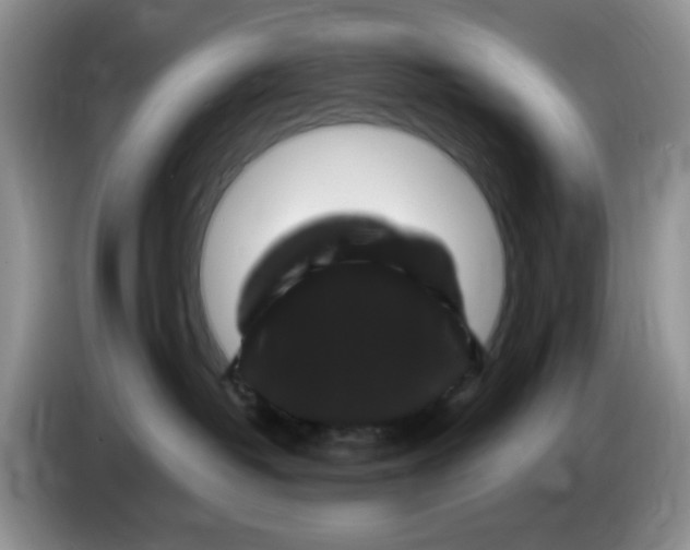 X0000084050382200703092057