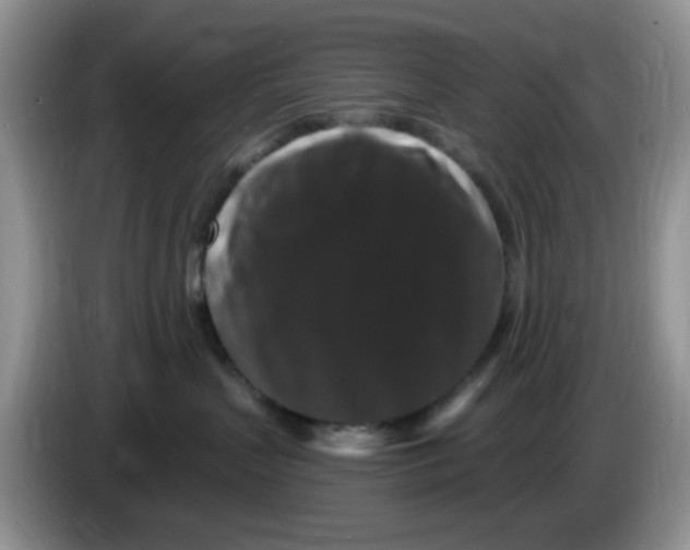 X0000084050383200703092057