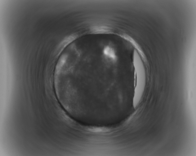 X0000084050385200703092057