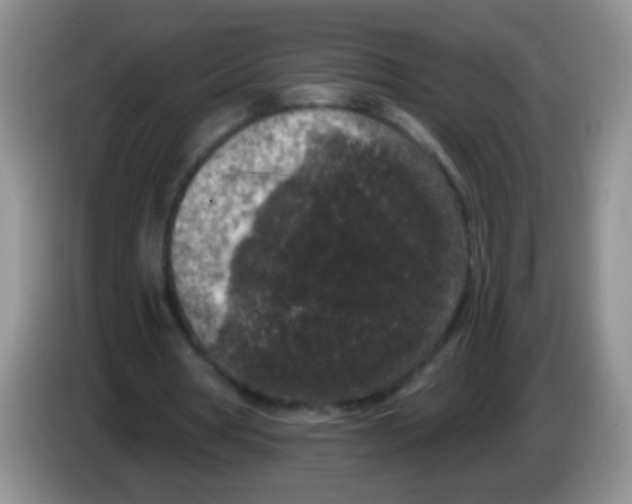 X0000084050386200703092057