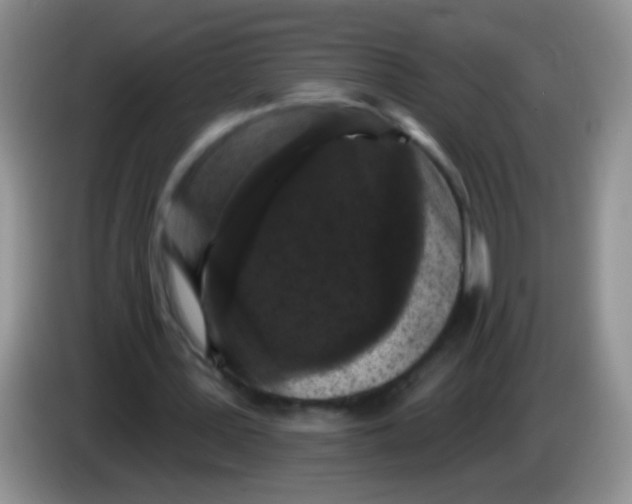 X0000084050387200703092057