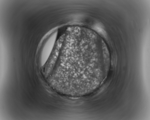 X0000084050388200703092057