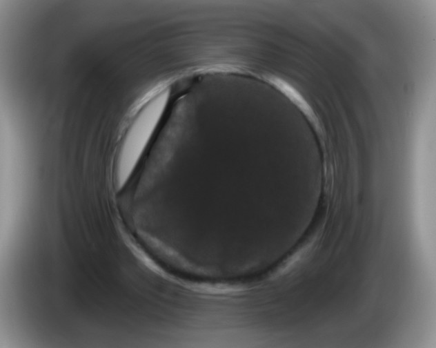 X0000084050389200703092057