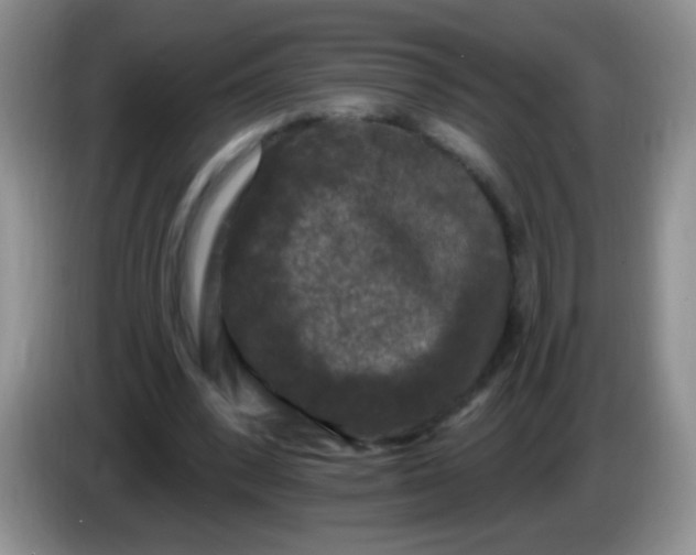 X0000084050392200703092057