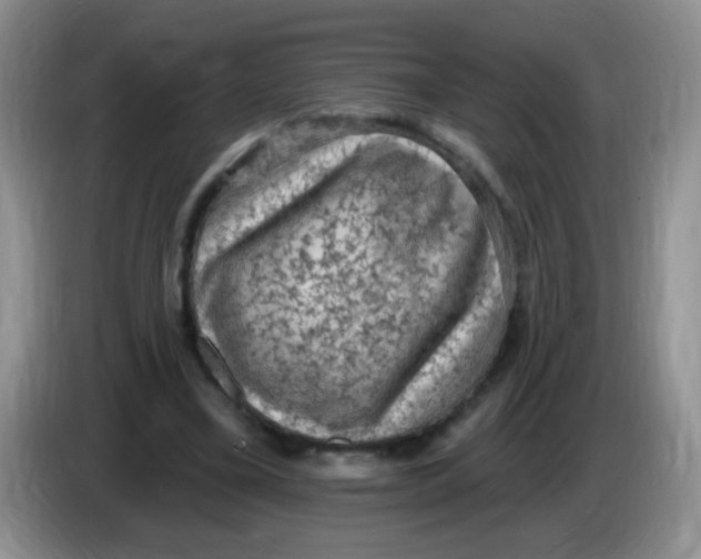 X0000084050395200703092057