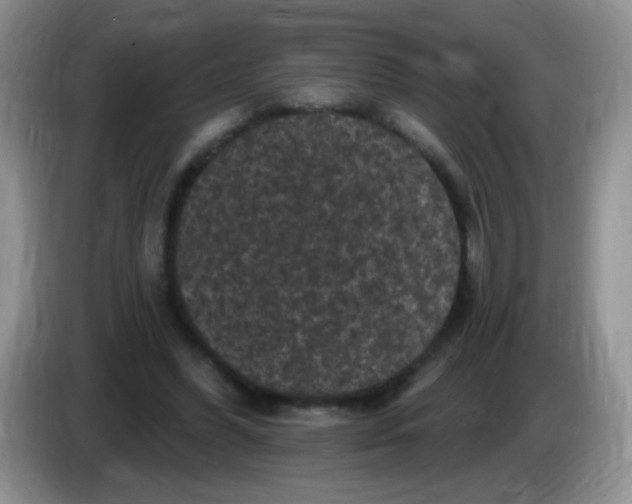 X0000084050396200703092057