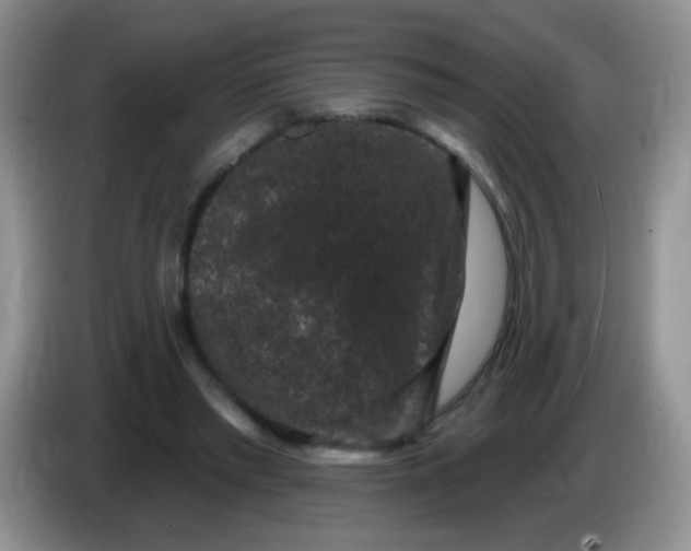 X0000084050397200703092057