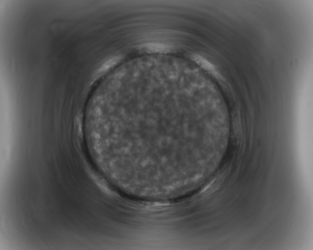 X0000084050398200703092056