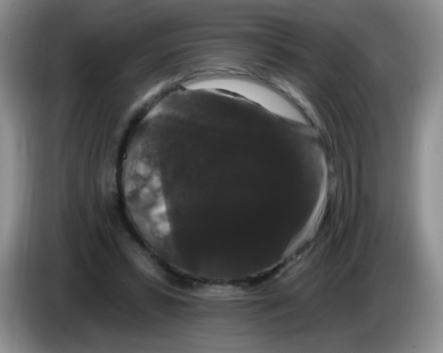 X0000084050399200703092056