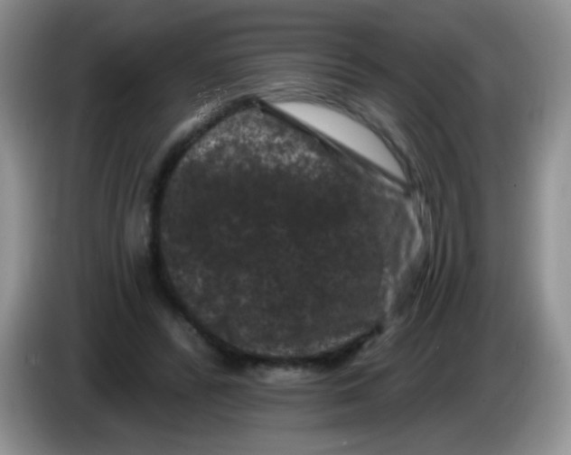 X0000084050400200703092056