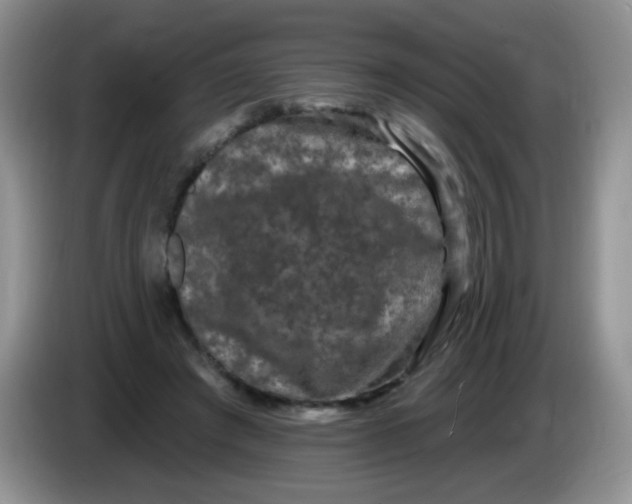 X0000084050401200703092056