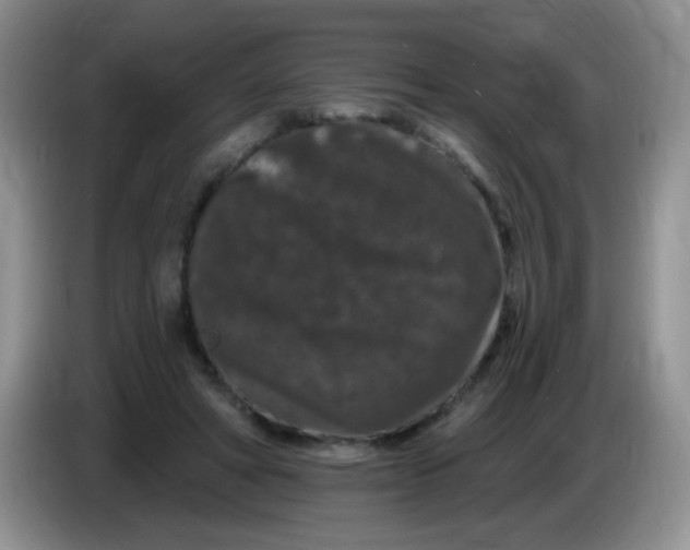 X0000084050402200703092056