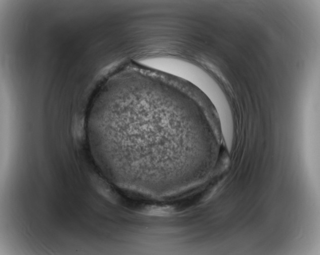 X0000084050403200703092056